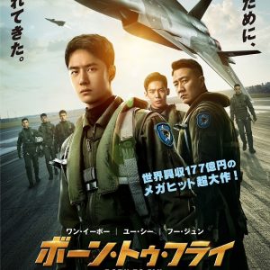 『王になった男』映画レビュー