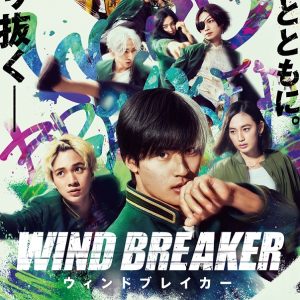 映画『WIND BREAKER ウィンドブレイカー』の何がすごいのか 見どころポイント 映画レビュー
